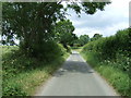 Lane towards Saham Toney in IP25 7EP