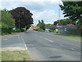 Watton Road, Shipdham in IP25 7PX