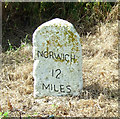 Milestone on Milestone Lane in NR18 9HL