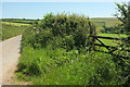 Gate and lane near Burlestone in TQ9 7AN