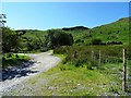 Farm tracks above Beddgelert in LL55 4YQ