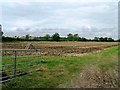 Field view west of Newland's Lane in BA22 7LE