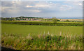 Fields near Alnmouth in Alnmouth