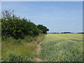 View from footpath at Furze House Farm in RM6 5AT