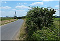 Roman Road (Peddars Way) towards Castle Acre in PE32 2FP