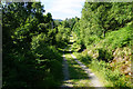 Permissive path near Thirlmere in St. John's Castlerigg and Wythburn