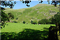 A field of cows and sheep near Thirlspot in St. John's Castlerigg and Wythburn