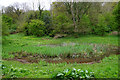 Small pond in Ashton Court Country Park in BS8 3DZ