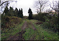 Gated track southwards from Oakham Road in LE14 2QF