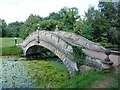 Footbridge in Wrest Park over The Broad Water in MK45 4HP