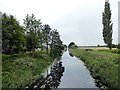 The Market Weighton Canal   in HU15 2QN