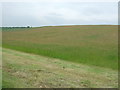Half cut silage field, Mannerston Holdings in EH49 7ND