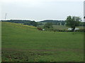 Grazing, Westfield Farm in EH52 6QJ