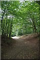 Sunken Track in Walthamstow Forest in E17 4HG
