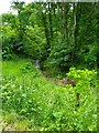 Stream at Entrance of Gibside in NE39 1PR