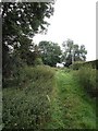 Awkward footpath, Tintinhull in BA22 8PH