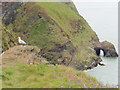The Pembrokeshire Coast Path near Ogof Goch in SA43 3BT