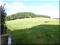 Pasture land to the north of Mains of Shiels in AB51 7RD