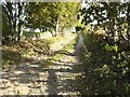A lane eastwards past Mains of Shiels in AB51 7RD