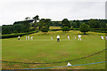 Village cricket at Crowcombe in TA4 4AJ