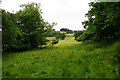 Farmland leading up to the Quantocks in TA4 4AJ