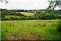 Undulating farmland near Roebuck Farm in TA4 4BL