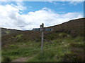 Ben Vrackie path junction in PH16 5RA