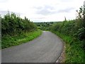 Road between Mossmoore Dairy and Higher Farm in BA22 7LW