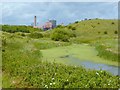 Pond on Coatham Marsh Nature Reserve in TS10 5QX