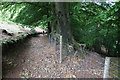 Path round Crowcombe Park in TA4 4AD