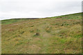 Footpath below the top of Black Hill in TA4 4AB