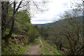 The Great Glen Way through Clunebeg Wood in IV63 6UU