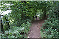 Path below Wills Neck in TA4 3HQ