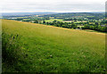 Hillside near Triscombe in TA4 3HE
