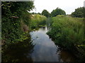 Water drain near Earsham as seen from the footbridge that crosses it in NR35 1RF