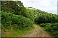Path above Triscombe in TA4 3HE