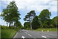 Mature trees at junction of Golding Avenue and A4 in SN8 1TH