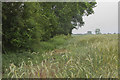 A field of Barley in DE65 6GW
