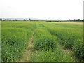Tram lines through an arable field. Vale of Pickering in YO18 7PG