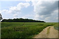 Footpath towards Battlebourn Head in North Witham