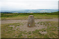 Trig point on Black Hill in TA4 4AB