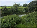 River Avon, East of Lacock in SN15 2PQ