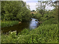 River Avon, Lacock Bridge in Bowden Hill