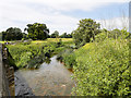 River Avon, Upstream from Lacock Bridge in SN15 2PH