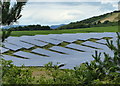 Wormit Solar Farm in DD6 8PH