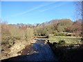 River Derwent at Clockburn in NE21 6RU