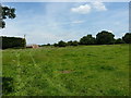 Pasture land south of Duke End Farm in B46 2QL