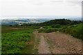 Path descending below Longstone Hill in TA5 1SG