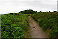 Path below Longstone Hill in TA5 1SA