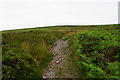 Bridleway up to Longstone Hill in TA5 1SA